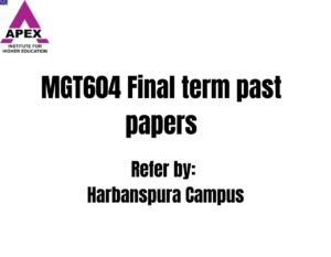 MGT604 Final term past papers